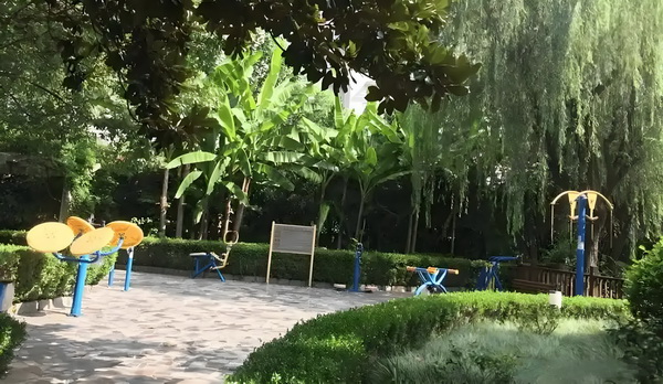 仙羁