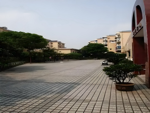 伪爱