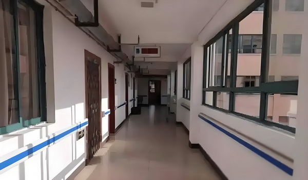 丫鬟当道